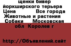 щенки бивер йоркширского терьера › Цена ­ 8 000 - Все города Животные и растения » Собаки   . Московская обл.,Королев г.